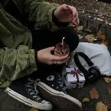 ⋆⁺。 сосновый лес ˚⋆˙