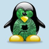 terminal@gnulinux:~#