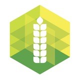 Новости Аналитического центра Минсельхоза России