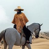 Дикий Телеграм