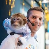 Обезьянка Чита ( Майор и Меймун) НТВ