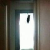 @CL4DDDMUSiC Нью канал