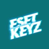esetKeyz переходник