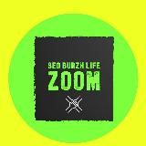 SEO BURZH LIFE ZOOM