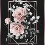 ● - Next-Rise - ●