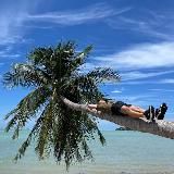 Гык гык трапы