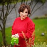 Ландшафтный дизайн, студия Блоссом 🌱