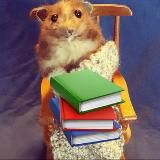 📚Уютный разбирает
