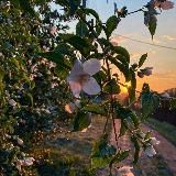 Атмосферные видео 🦋