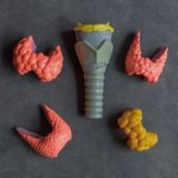 О гормонах и не только 🌿