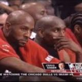 Чат Вопросов Ника Янга