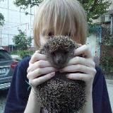 (дегенерат) mim