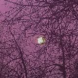 В Киселёвске