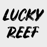 LUCKYREEF™ opt/drop - КУПАЛЬНИКИ, ХУДИ, СВИТШОТЫ, МАЙКИ, РУБАШКИ, КЕПКИ
