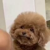 Смех и грех