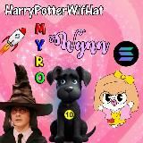 HarryPotterWifHatMyroWynn10Inu Portal