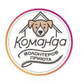 sobaki_priuta_nekrasovka🐶🐱