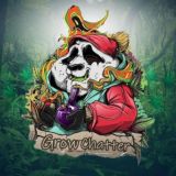 BomzhGrow Chat