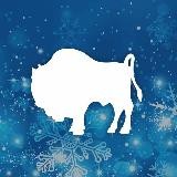 Беловежская зима 2025