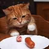 Прекрасная Россия👀