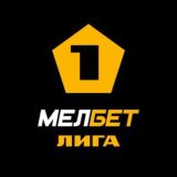 Первая лига (ФНЛ)