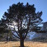 Мой Владикавказ