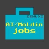 AIMoLdin Jobs (DSML KZ)