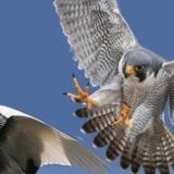 Станислав Поможет🏘