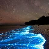 Удивительное вокруг нас