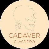 Анатомия для косметологов | Cadaver Class Pro