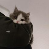 •ꜱɪɴɢᴀᴛᴛᴀᴍ•