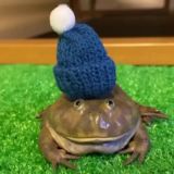 1WIN РЕГИСТРАЦИЯ ВХОДЫ