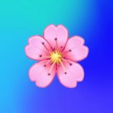 Молодость как система (чат)