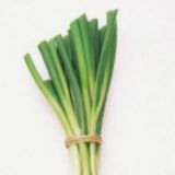 品葱pin-cong用户群