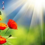 ЛУЧись со сМАКом