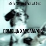 ПОМОЩЬ ХАУСАМ ОТ СТАЛКЕРА