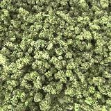 Скоро восстановим канал