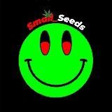 Smilе_seedscompany