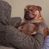 Сталкер. Сплетница. Выживший