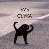 Выкрики из зала