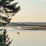 Чувство обыденного (архив)