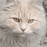 ОДИН КАНАЛ ОДНА ЖИЗНЬ🤘💥🤡🙄