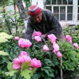 Цветы "Абдулла ГУЛ"чи🌳🌲🍀🌺🌹🥀