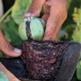 О̷Т̷З̷Ы̷В̷Ы̷ 𝐂𝐡𝐀𝐓𝐀 𝐒𝐮𝐝𝐚𝐲𝐬𝟎𝟎𝟕