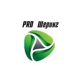 PRO Шеринг: ИТ в сервисах