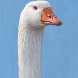 🌚 СТЭТИК 🍂