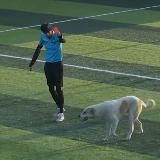 Нечистый спорт | Репортер Бондарев