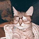 ✶ ₊ и всё-таки я верю . °