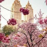 🎵🎙Красивые христианские песни🎙🎵