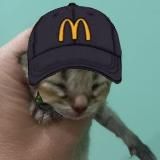 Вечный инструктор